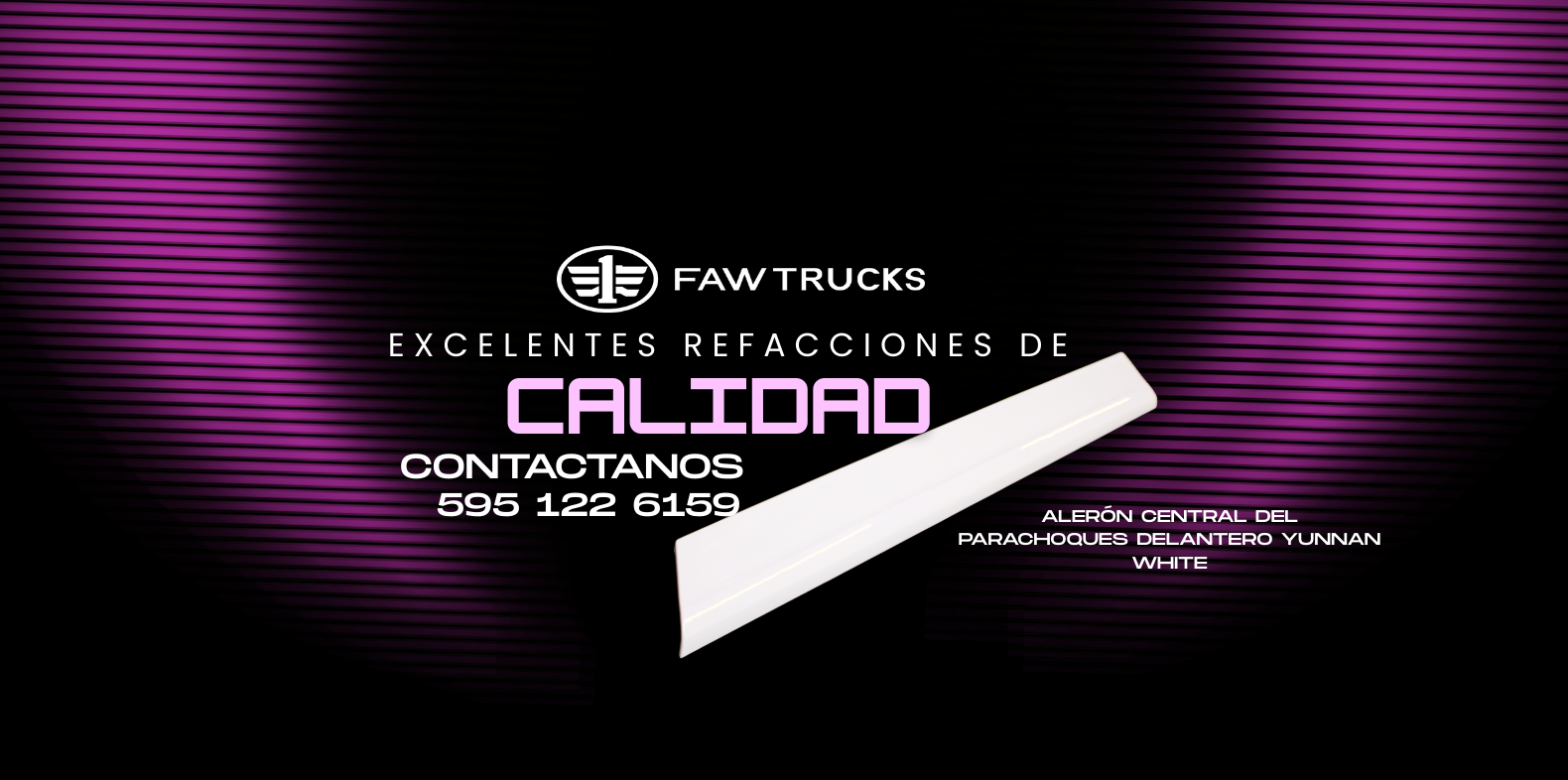 Productos premium - Calidad garantizada